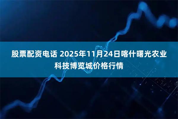 股票配资电话 2025年11月24日喀什曙光农业科技博览城价格行情